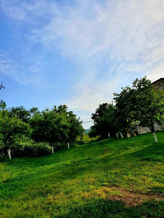 Guest House Ijevan'S Garden 外观 照片