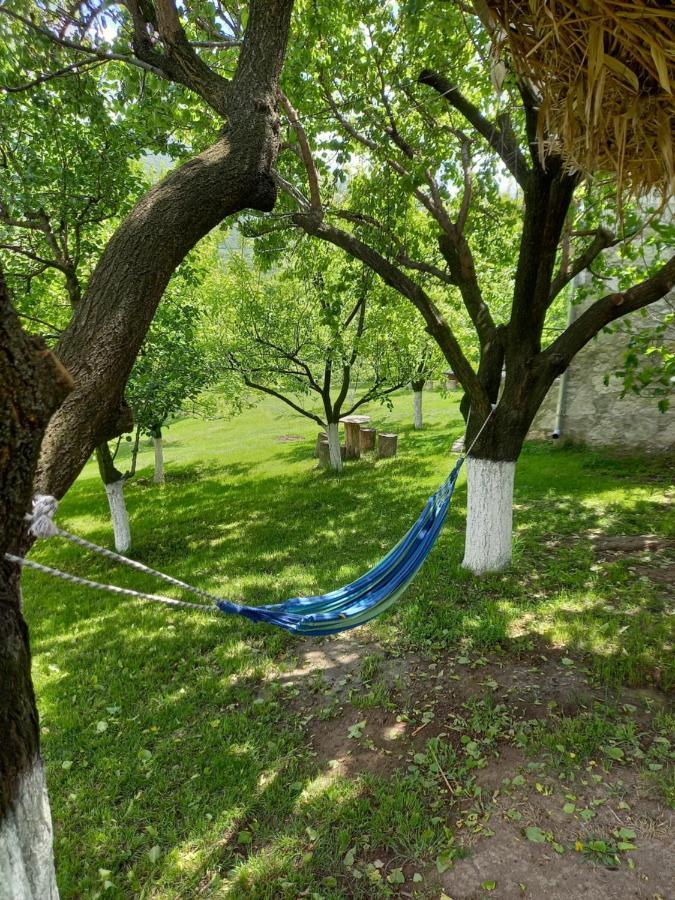 Guest House Ijevan'S Garden 外观 照片