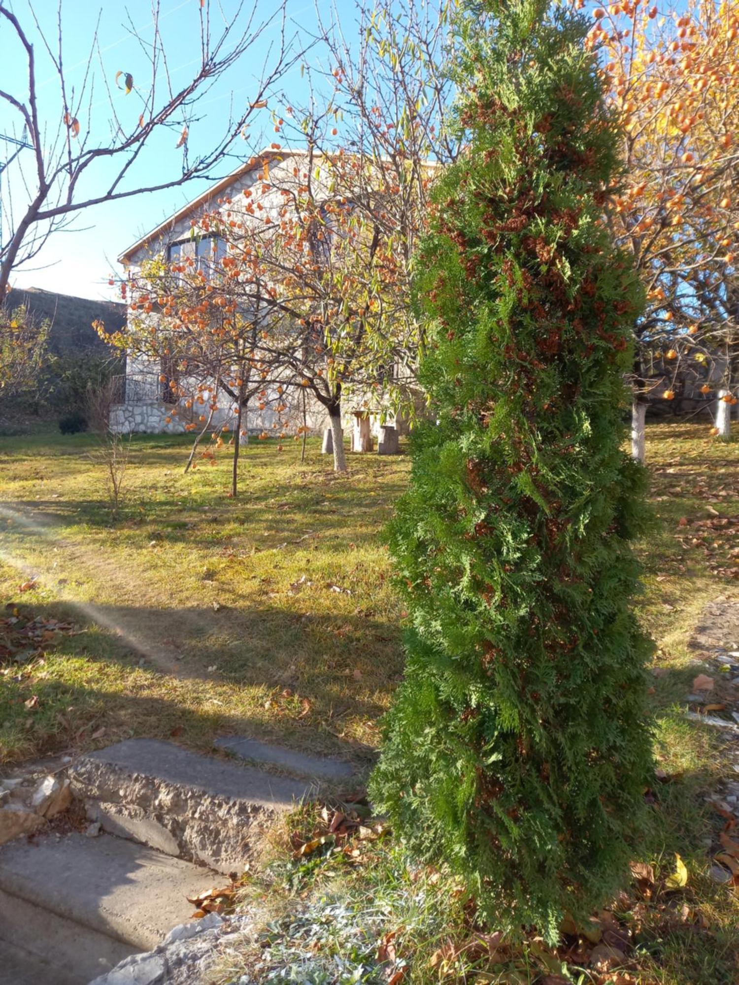 Guest House Ijevan'S Garden 外观 照片