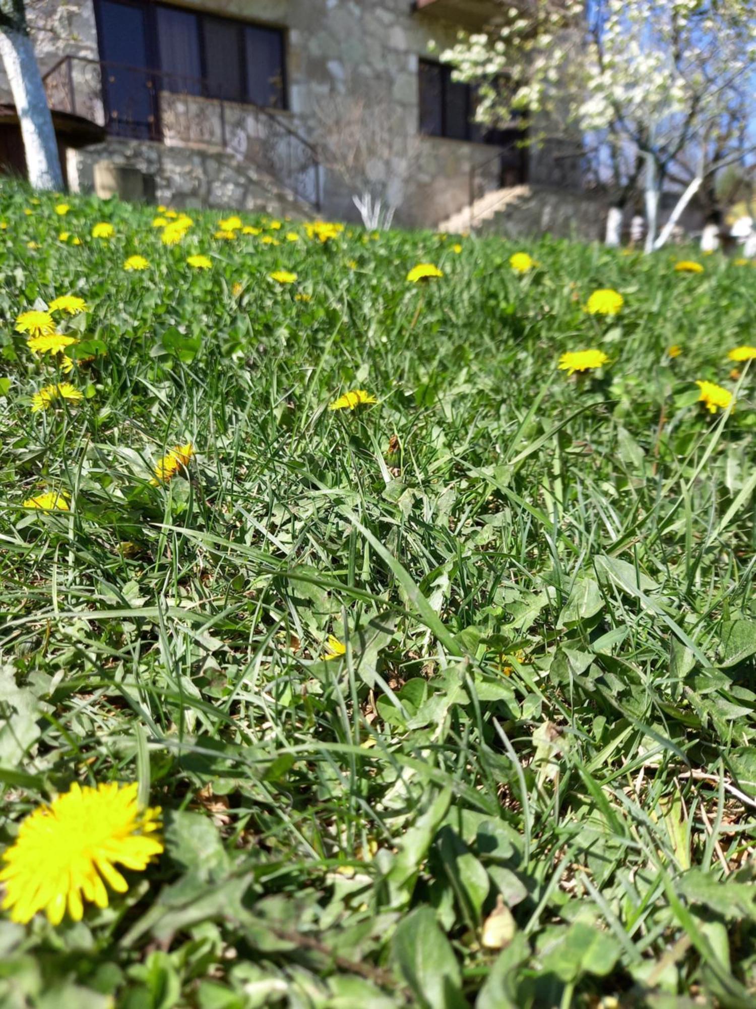 Guest House Ijevan'S Garden 外观 照片