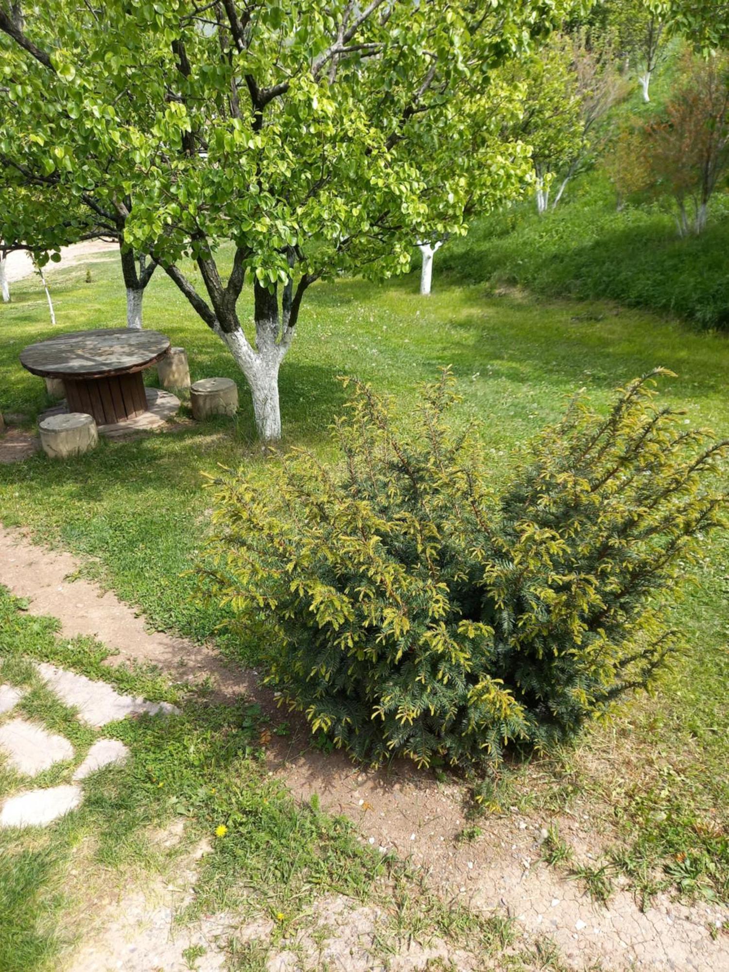 Guest House Ijevan'S Garden 外观 照片