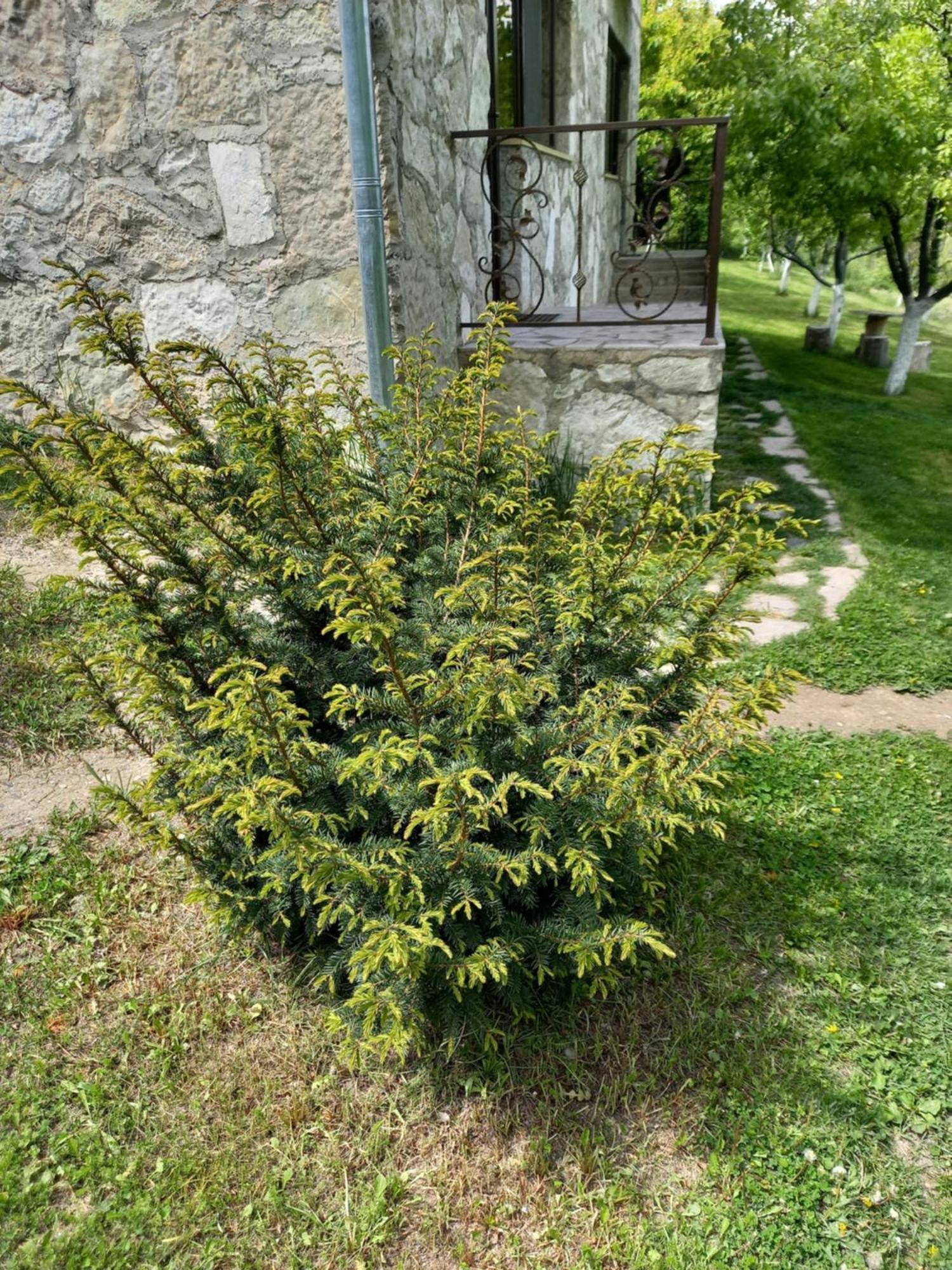 Guest House Ijevan'S Garden 外观 照片
