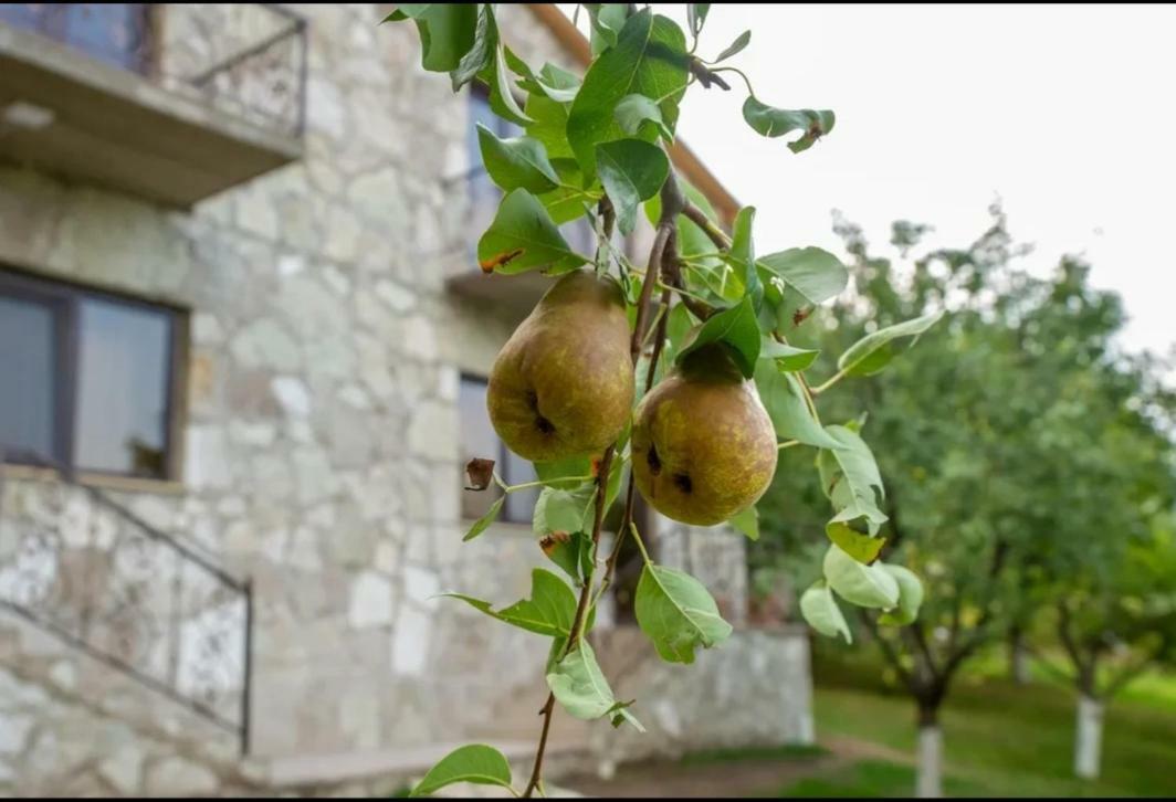 Guest House Ijevan'S Garden 外观 照片